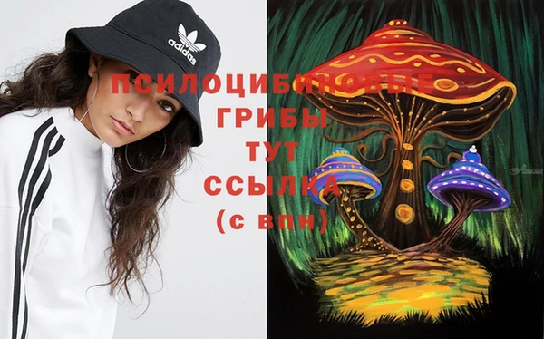 соль курить ск Алексеевка