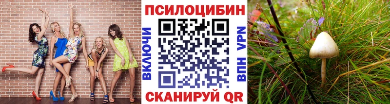 Галлюциногенные грибы MAGIC MUSHROOMS  кракен зеркало  Красноуральск 