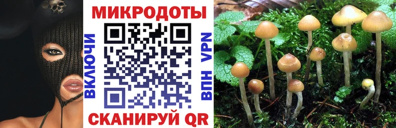 Галлюциногенные грибы Cubensis Красноуральск
